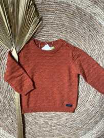 Mooie roestkleurige trui van Losan.
