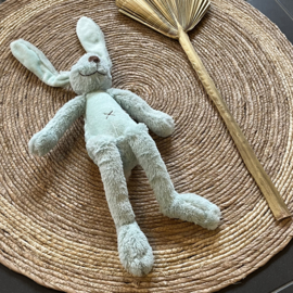 Mintgroene Rabbit Richie 38 cm