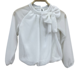 Mooie uitgewerkte blouse met een strik bij de hals in het offwhite.