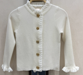 Mooi uitgewerkt vestje met mooie mouwen in het offwhite .