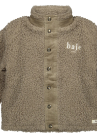 Stoere teddyjas van Baje in het bruin .