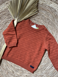 Mooie roestkleurige trui van Losan.