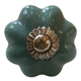Knop Q69 bloem aqua