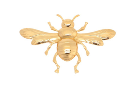 Broche bij goud