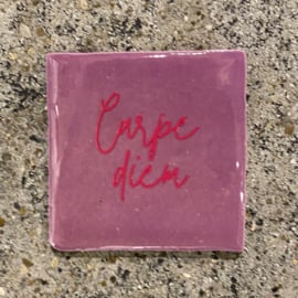 Tegeltje lila “Carpe diem"