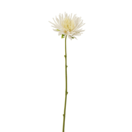 Bloem Chrysant wit 40cm