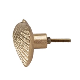 Knop Q34 schelp goud