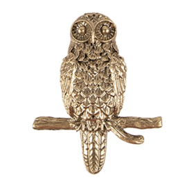 Knop Q25 uil brass