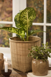 Bloempot/ mand naturel
