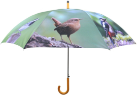 Paraplu vogels