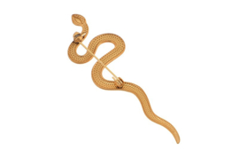 Broche slang