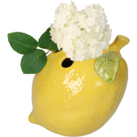 Vaas citroen