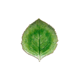 Schaaltje blad groen 17cm