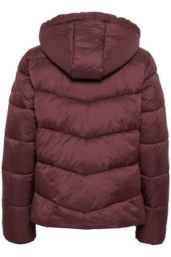 Kaffe jack Susanne bordeaux