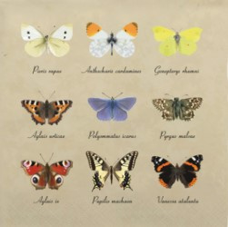 Servetten vlinders