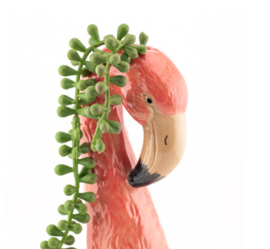 Vaas flamingo