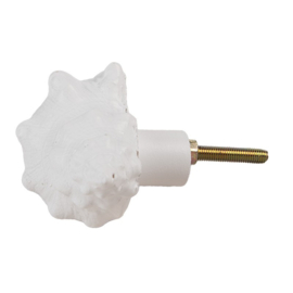 Knop Q36 schelp wit