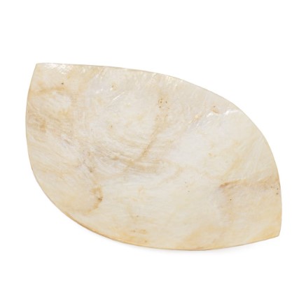 Schaaltje schelp paarlemoer