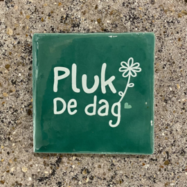 Tegeltje groen “pluk de dag”