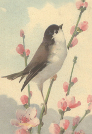 Geurzakje vogel (cherry blossom)
