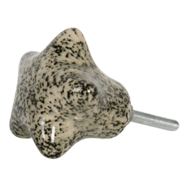Knop Q66 ster