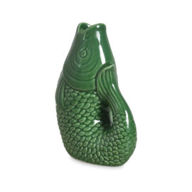 Vaasje vis groen