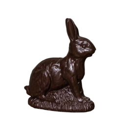 Paashaas chocolade