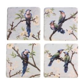 Onderzetters vogels