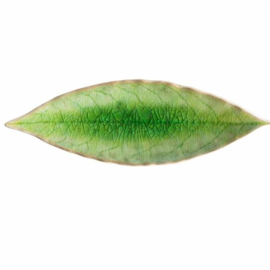 Schaaltje blad klein groen