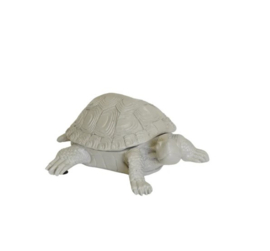 Doosje schildpad wit