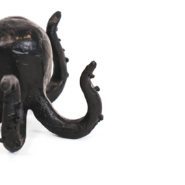 Octopus zwart