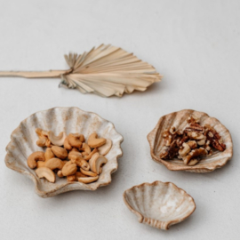 Schaaltje schelp zand