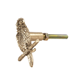 Knop Q25 uil brass
