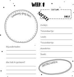Sillibeads invulboekje "Dag kilo's, mijn afslankboek"