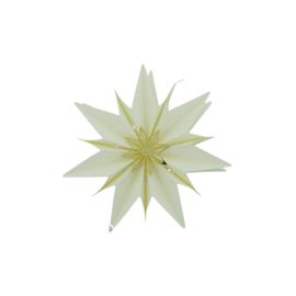 Kerstster papier Led S