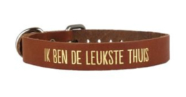 100% leuk honden halsband