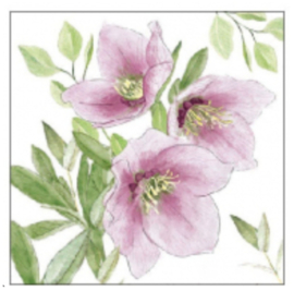 Ambiente sevet helleborus 25 x 25 cm