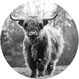 Glasschilderij Ø40cm Buffel staand zwart-wit