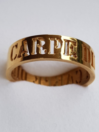 IXXXI vulring Carpe diem (zilver-, goud-, of rosé kleur)