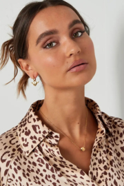 Ketting RVS ronde bedel