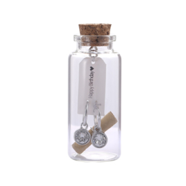 Giftset oorbellen in flesje "Happy Birthday"