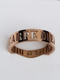 IXXXI vulring Carpe diem (zilver-, goud-, of rosé kleur)