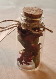 Flesje met droogbloemen
