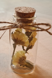 Flesje met droogbloemen