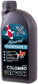 Phosphate X Colombo