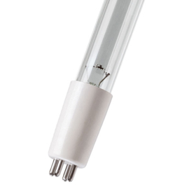 XQ 1116 Lite-uv-c lamp T5 4pin 36 Watt lengte 843mm