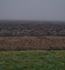 Pendant with Owyhee Picture Jaspis