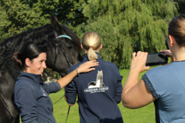 Paardenhaar armband Uniek Dames