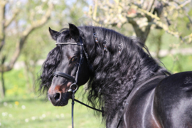 Paardenhaar sleutelhanger Johnny