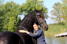 Paardenhaar armband Uniek Heren